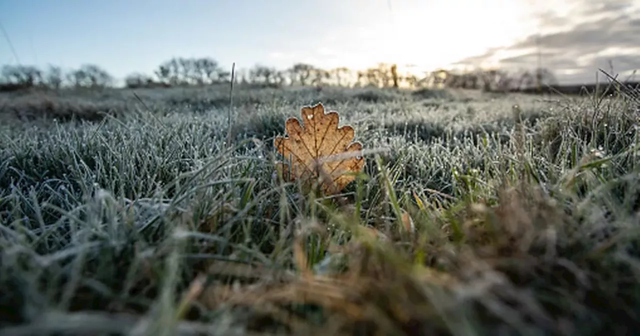 Temperatures to Drop to -3 Degrees on Tuesday Night, Conditions to Improve as Week Progresses