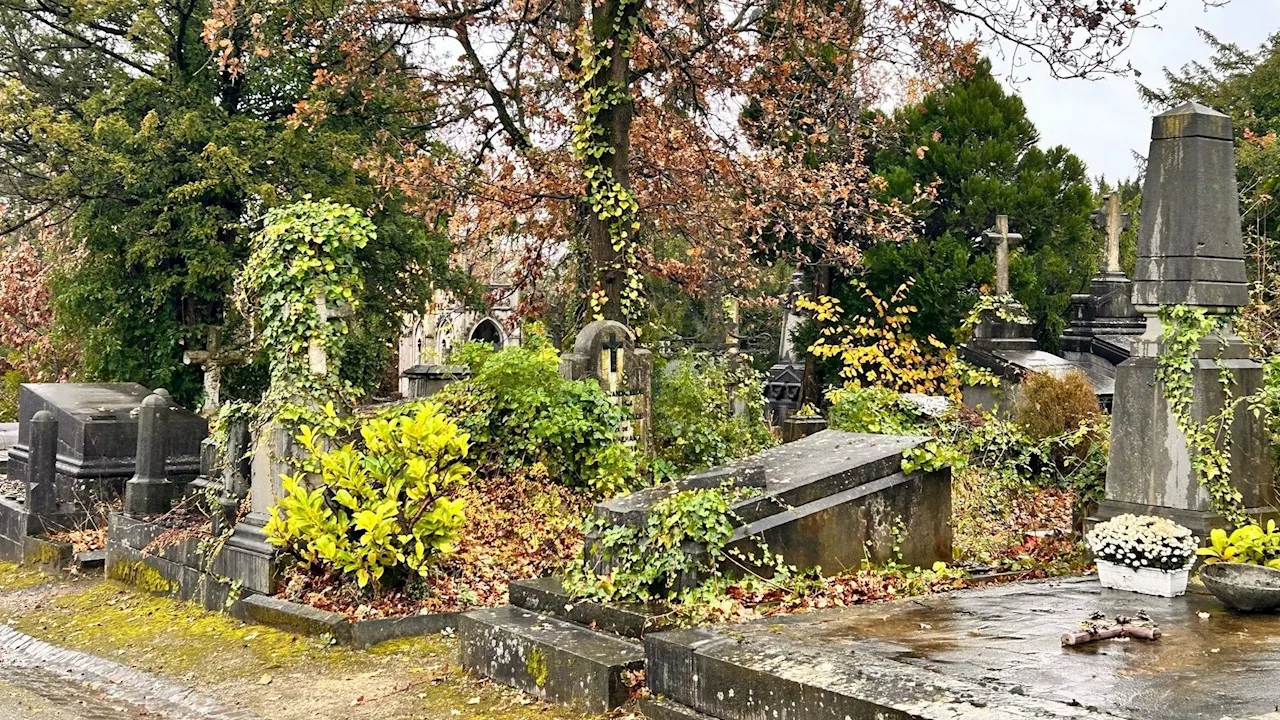 Uccle : une nouvelle vie pour l’ancien cimetière ?