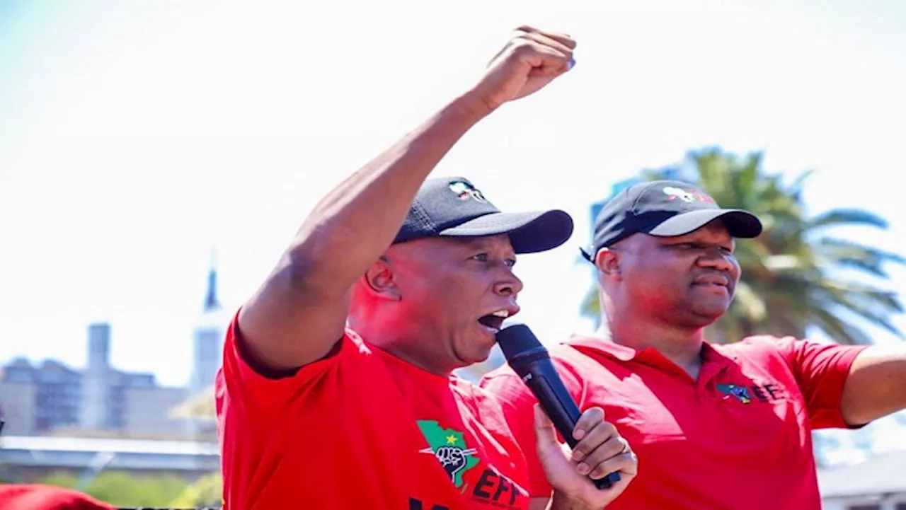 EFF Lideri Malema, Ramaphosa'yu $580.000'lik Bulmaca İle Sorumlu Tutmak İstiyor