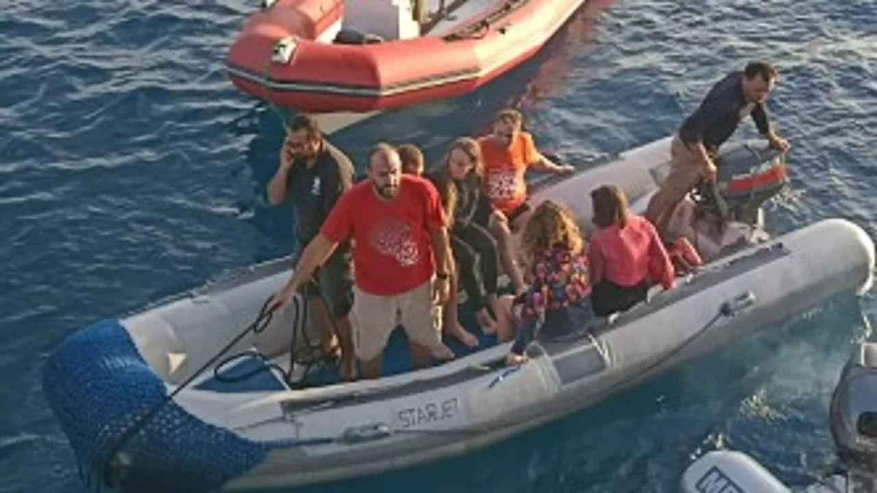 Five survivors rescued day after tourist boat sank in Red Sea - as search for missing 'intensifies'