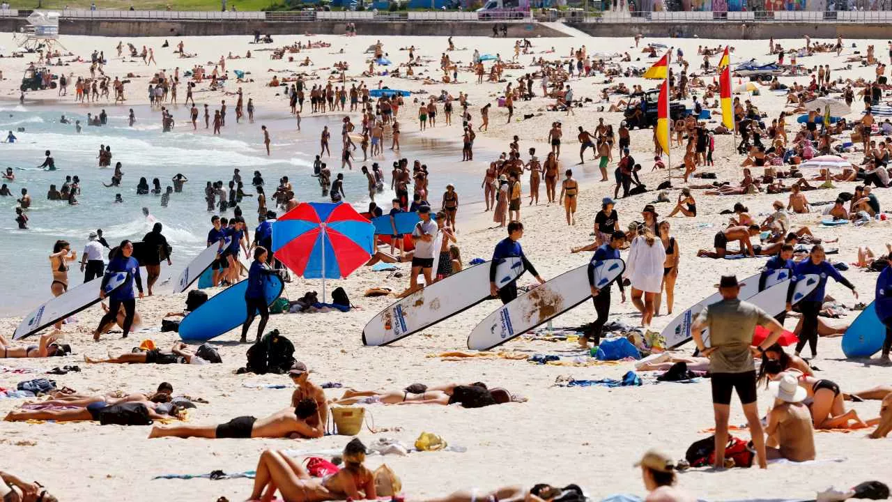 Millions of NSW residents swelter through heatwave as blackout fears grow