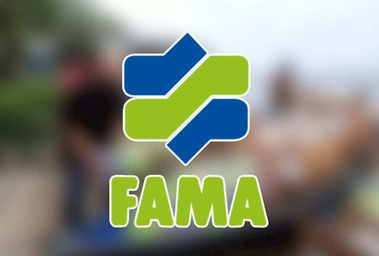 Fama Distributes 60,000 Food Kits in Preparation for Northeast Monsoon