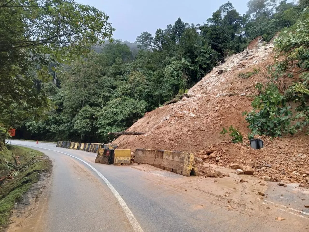 Simpang Pulai-Cameron Highlands route not suitable for night driving, says NGO