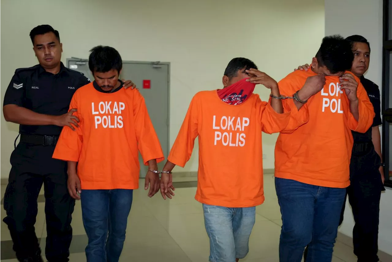 Three charged with trafficking over 11kg of cannabis in Johor