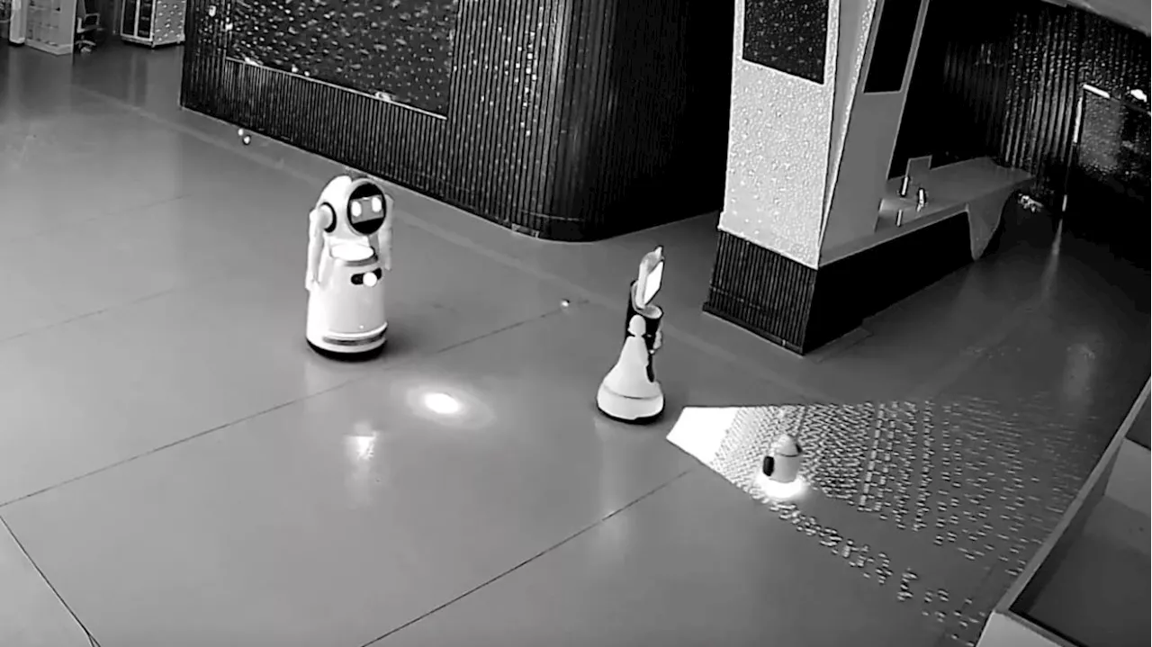 Video of a robot leading a mass escape stokes laughs and fears over AI in China