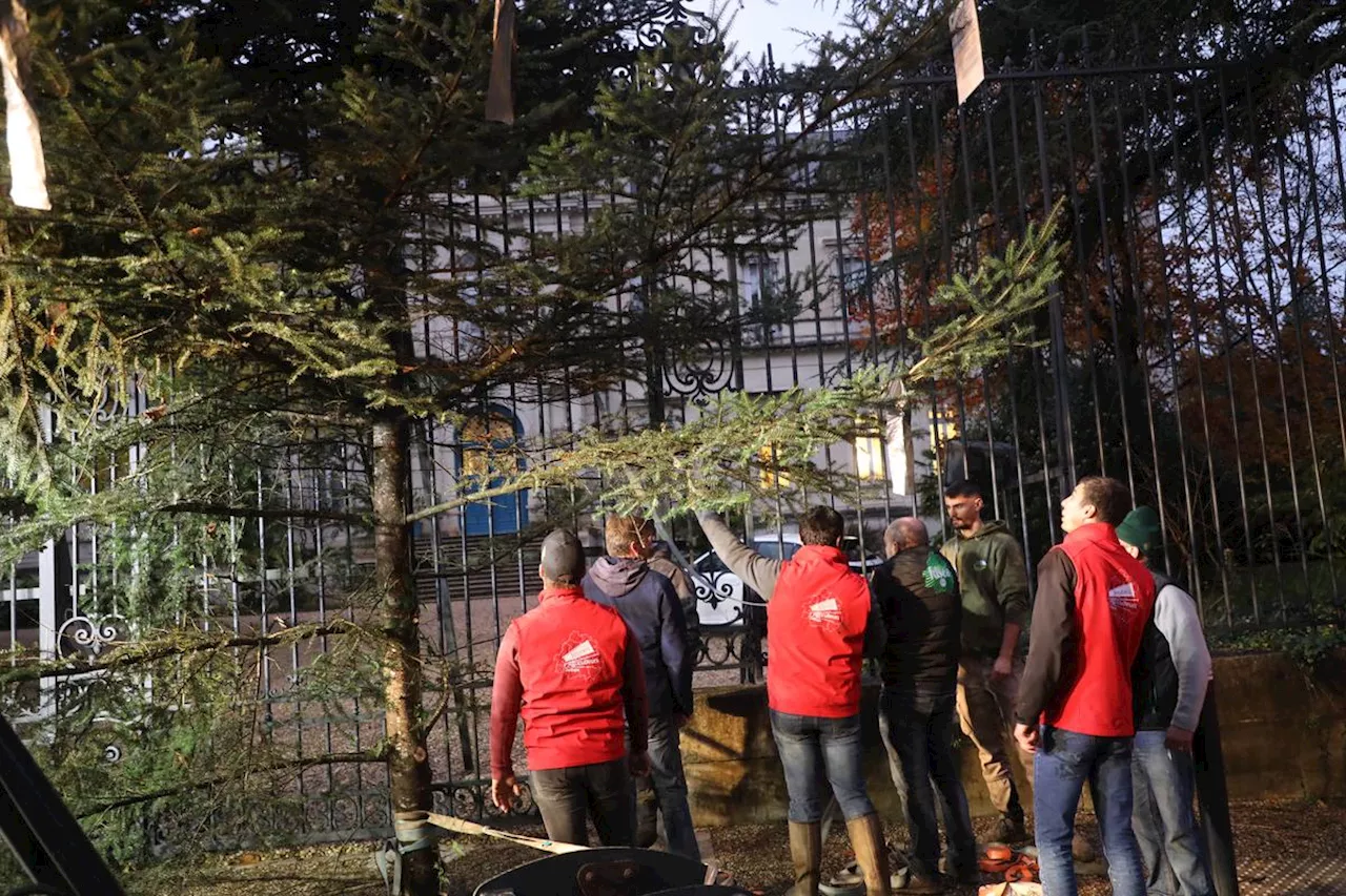 Les Agriculteurs en Colère Installent un Arbre de Noël Géant à Périgueux