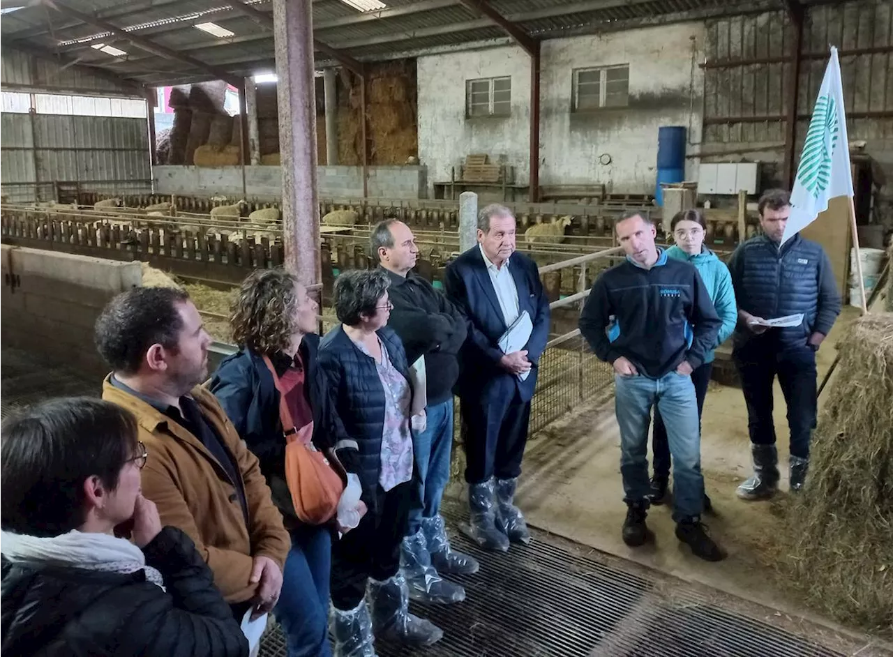 Pays basque : les agriculteurs « risquent de craquer »