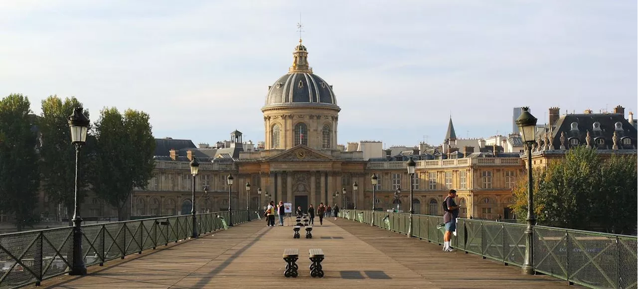 « Race », « négrillon », « femme »… L’Académie française priée de « rectifier d’urgence » son dictionnaire