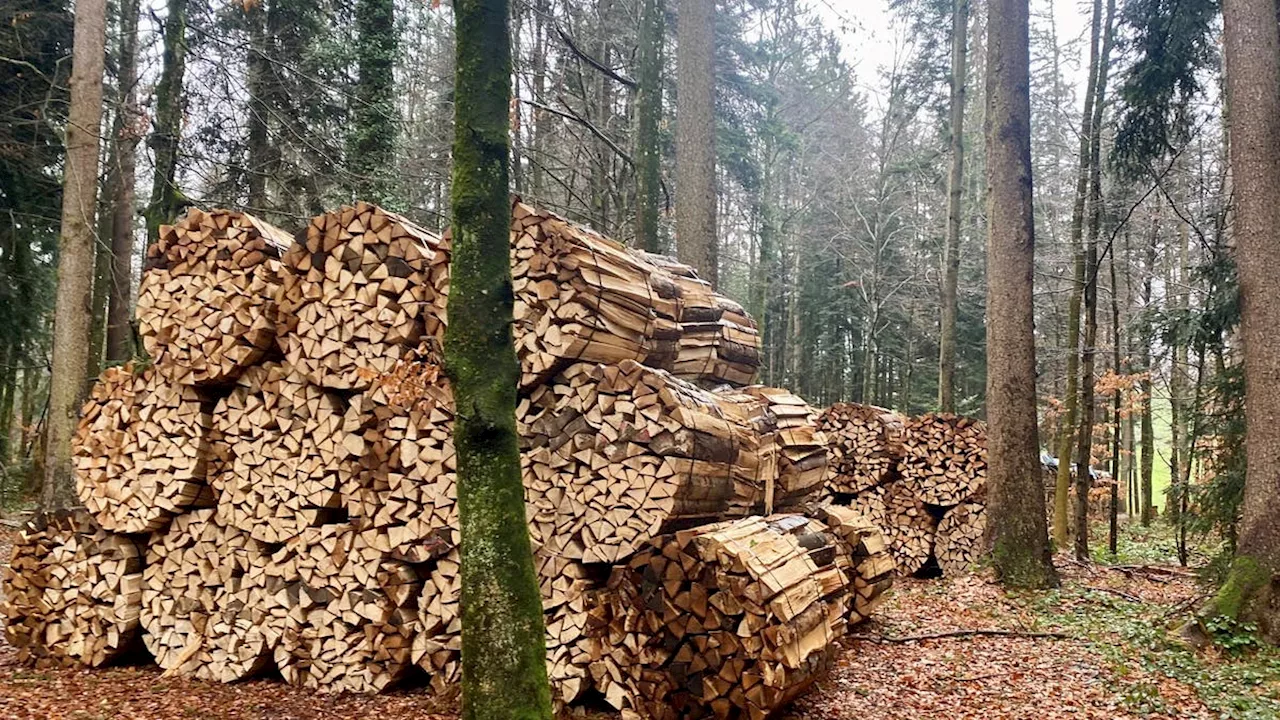 Holzengpass und gekürztes Weihnachtsgeld in Ostschweiz