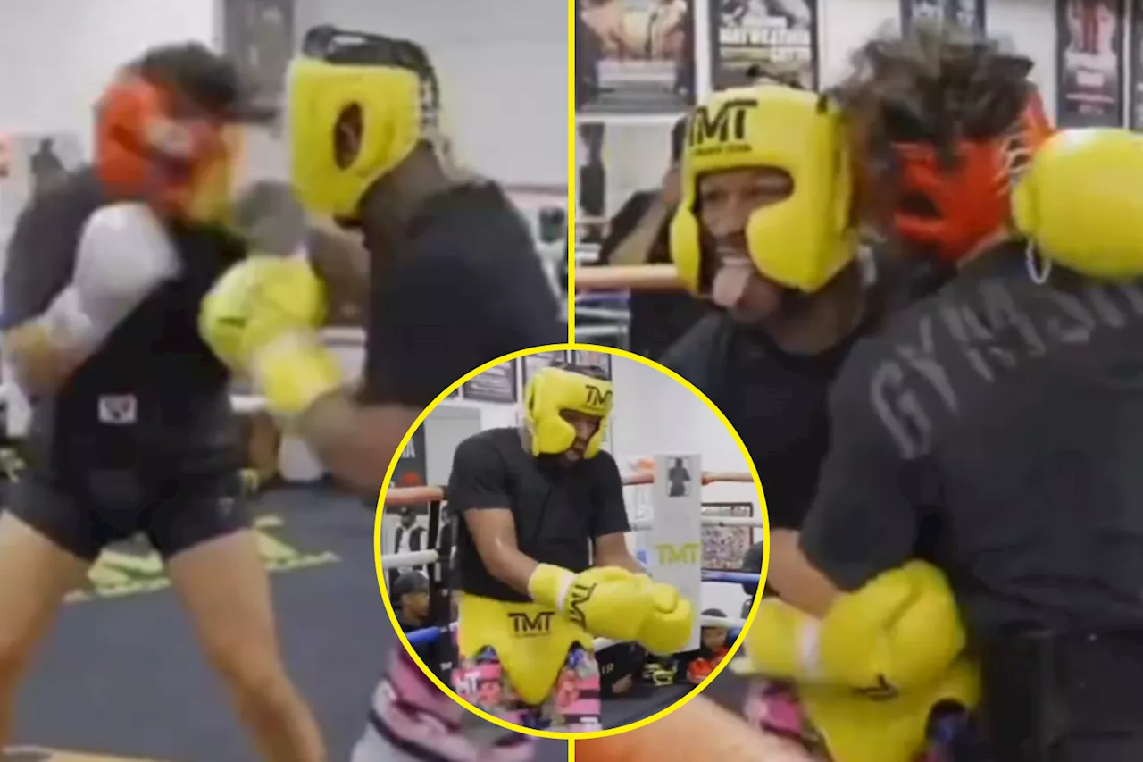 I was set up for a mystery sparring session which turned out to be against Floyd Mayweather, he beat me up...