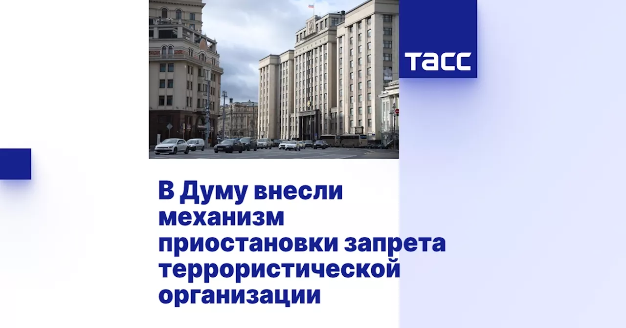 В Думу внесли механизм приостановки запрета террористической организации