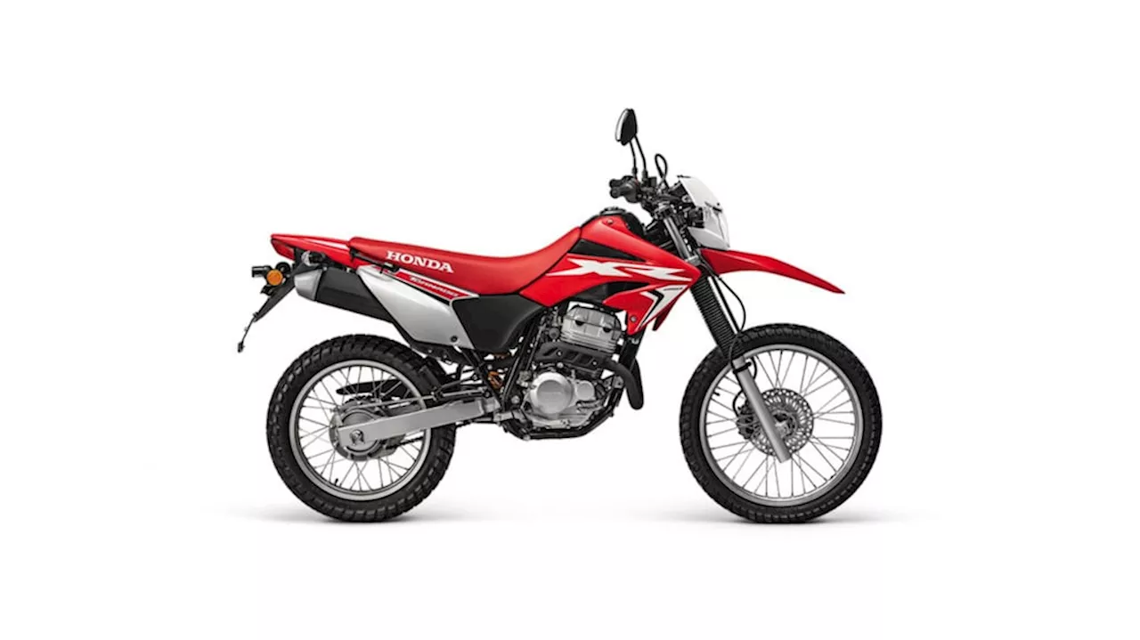 Cuánto cuesta la moto Honda Tornado XR250 con precio actualizado en noviembre de 2024