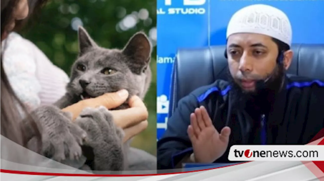 Kucing Memang Lucu dan Menggemaskan, tapi Saran Ustaz Khalid Basalamah Sebaiknya Jangan Dipelihara di Rumah, sebab...