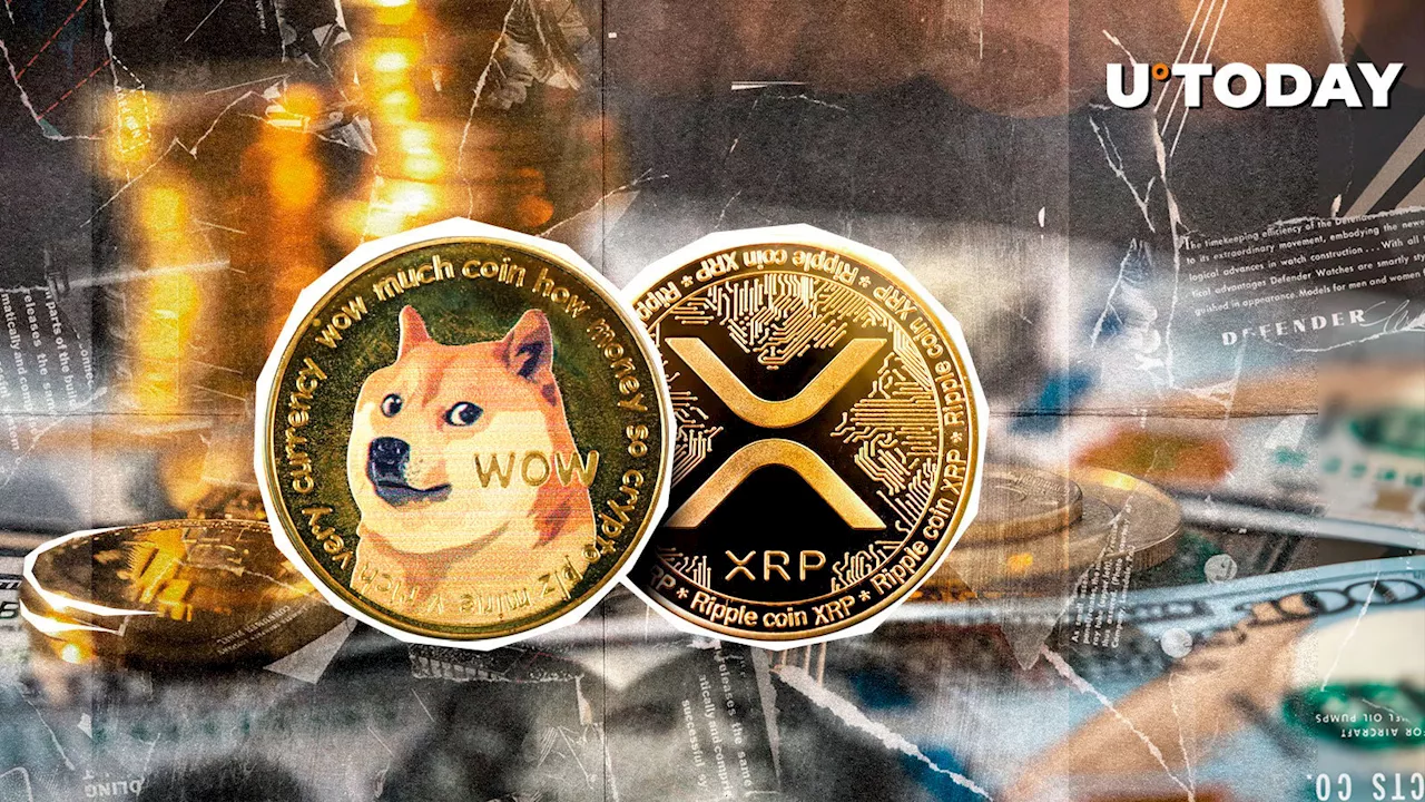 Dogecoin (DOGE) and XRP Shine as Crypto Liquidations Hit $493 Million