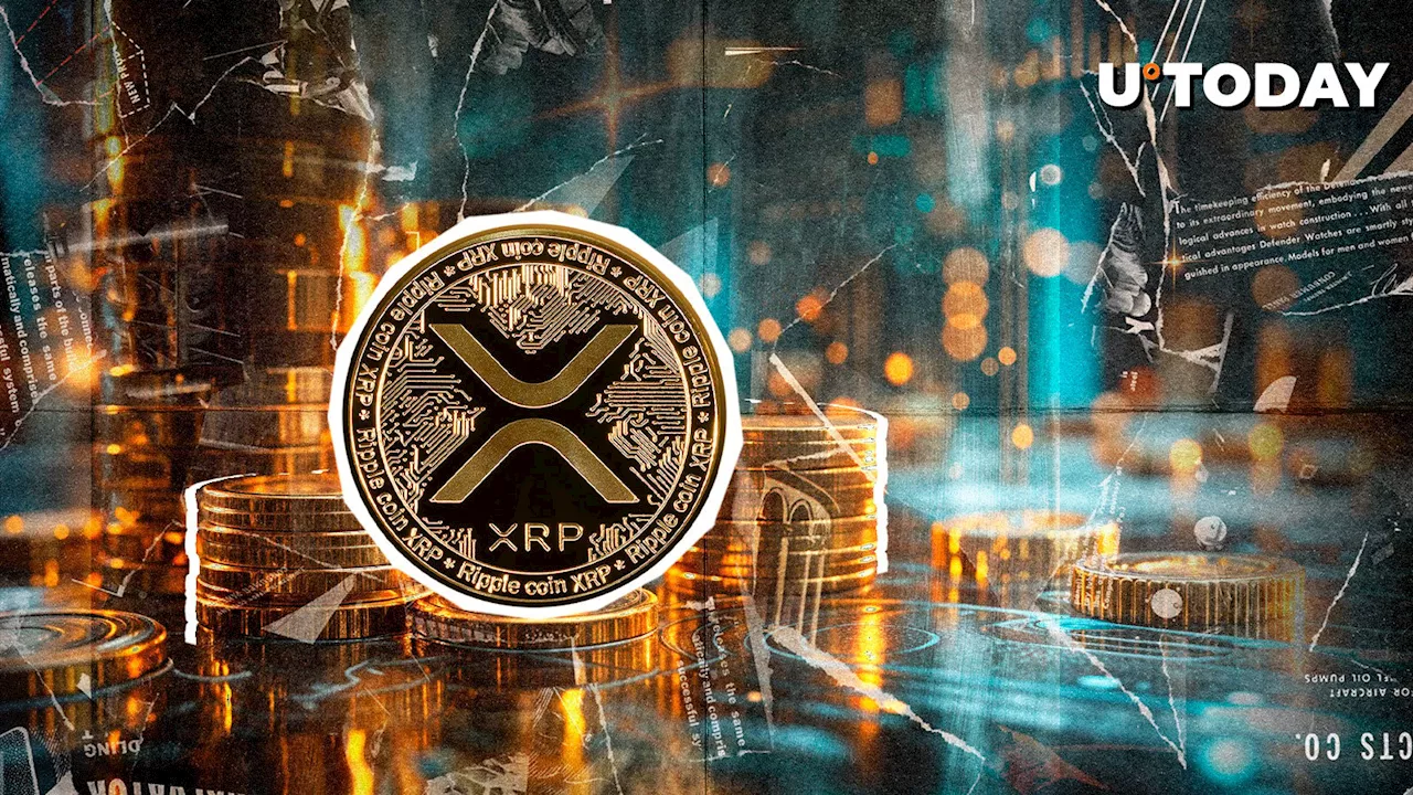 XRP Stunned by Mysterious $25 Million Whale Activity on Binance