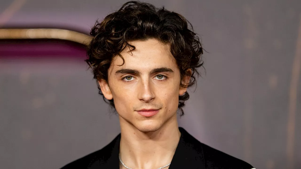 Timothée Chalamet sera sacré artiste de l'année par le Festival du film de Santa Barbara