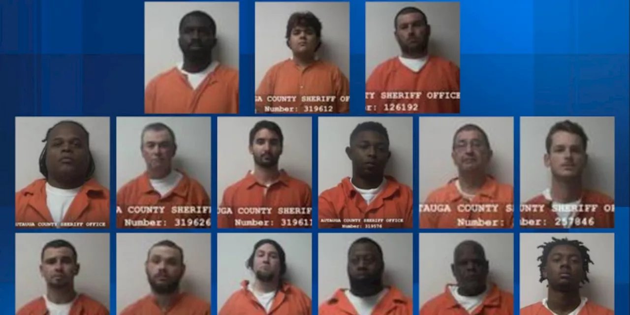 15 arrested in Autauga County child sex trafficking operation