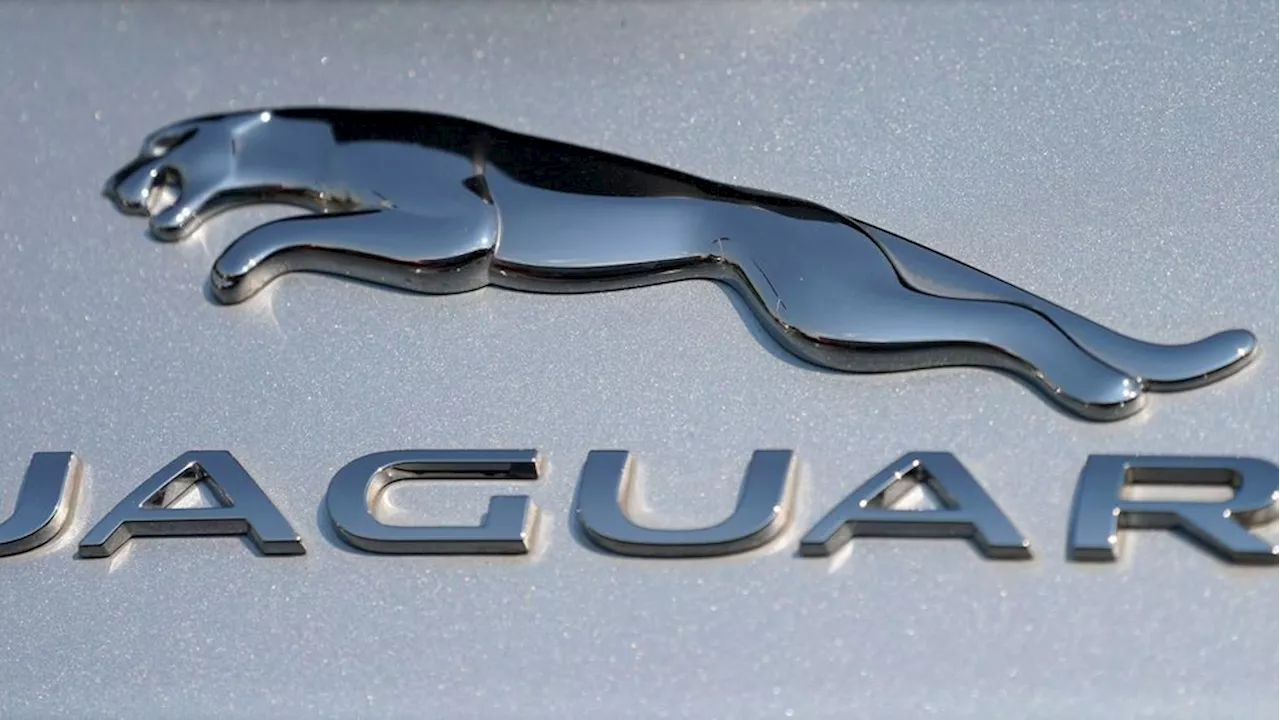 Jaguar managing director defends company after rebrand sparks confusion: 'Living vividly'