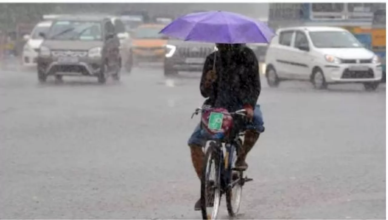 Heavy Rains Alert: విరుచుకుపడనున్న వాయుగుండం, ఈ జిల్లాల్లో రేపటి నుంచి భారీ వర్షాలు