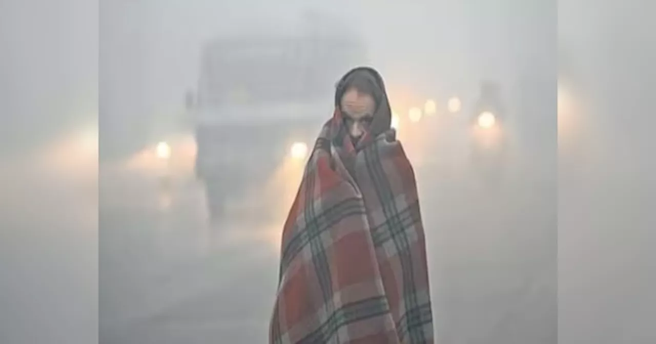 Rajasthan Weather Update: दिसंबर की शुरूआत से ही देखने को मिल सकता है राजस्थान में कोहरे का कहर! ताजा अपडेट जारी