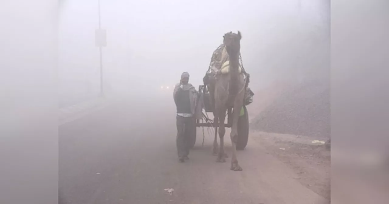 Rajasthan Weather Update: राजस्थान में फिर बदला मौसम, जानें आने वाले दिनों में कैसा रहेगा वेदर