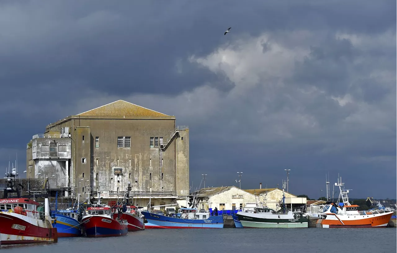 Lorient : Des perquisitions au port pour des soupçons de détournement de fonds publics