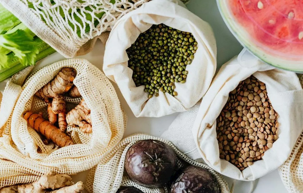 Les lentilles : des protéines végétales sous toutes leurs formes