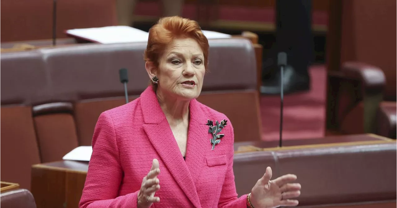 Pauline Hanson Appeals Racist Accusation Against Greens Senator