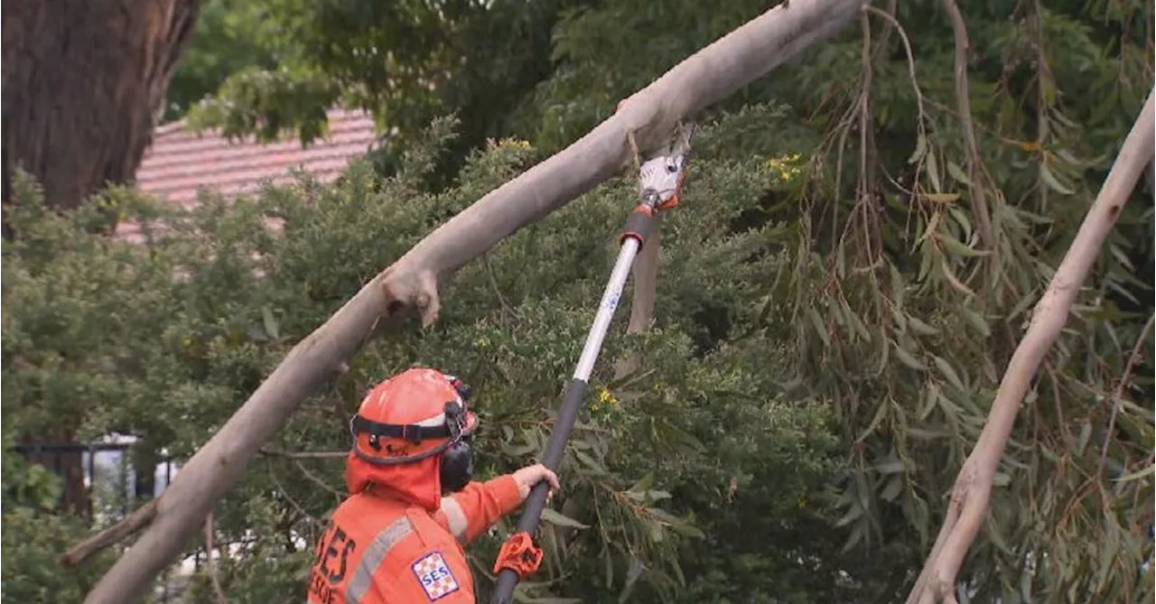 Train lines suspended as fierce storms whip Victoria, leaving one dead