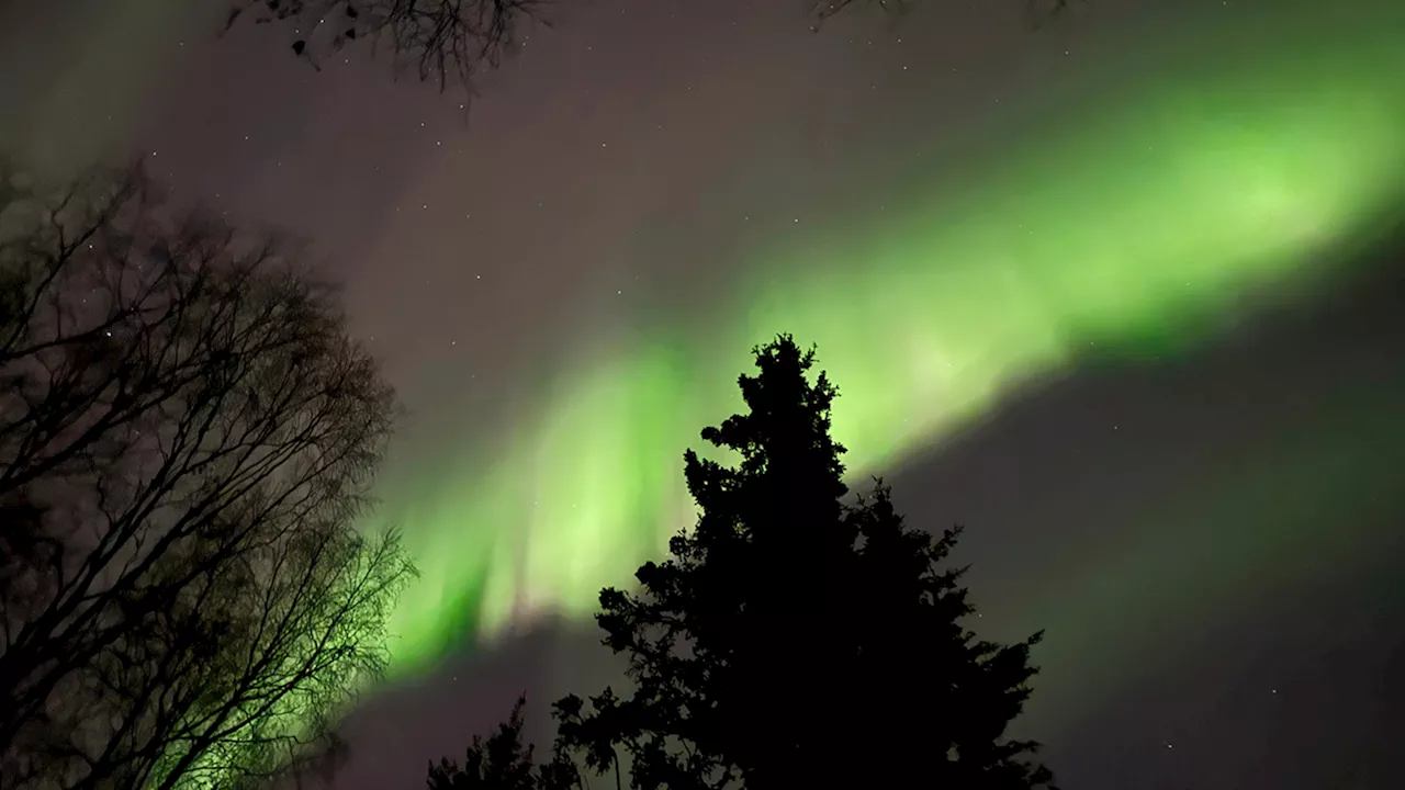 Solar Storms May Produce Faint Aurora Displays Across Northern U.S. This Thanksgiving