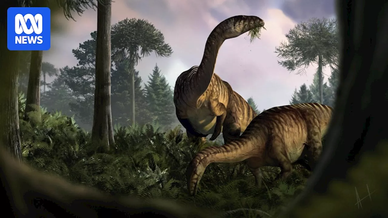 Fossilised faeces show dinosaurs rose to dominance over millions of years: study