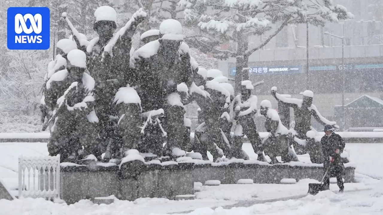 Seoul coated in snow during heaviest November storm in South Korea in more than five decades