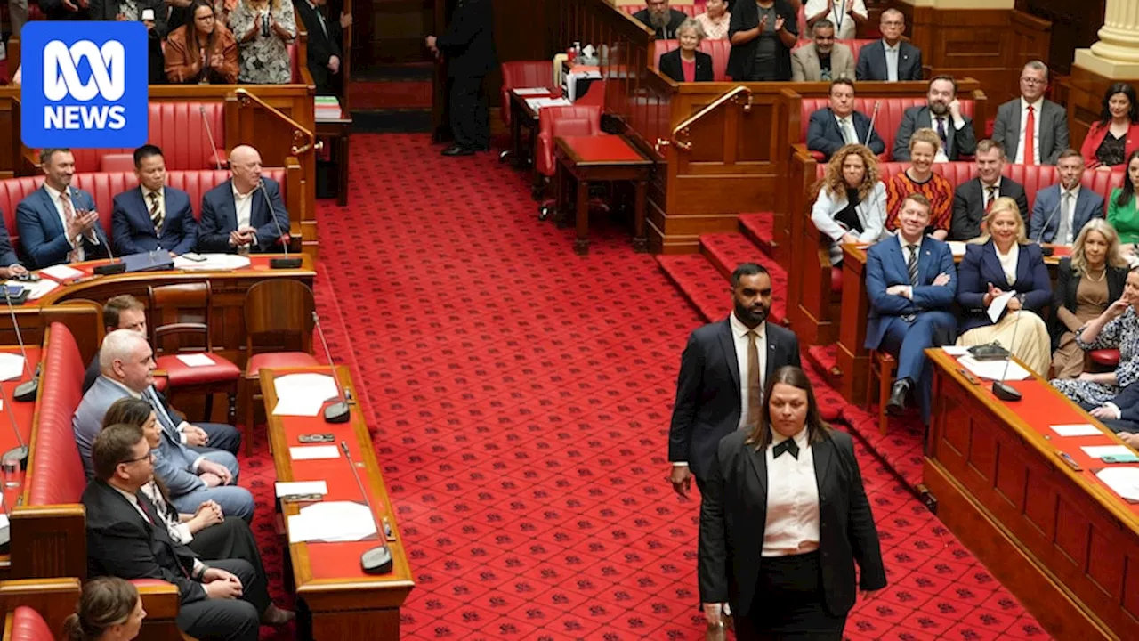 South Australia's Voice to Parliament Just Getting Started, Says Presiding Member