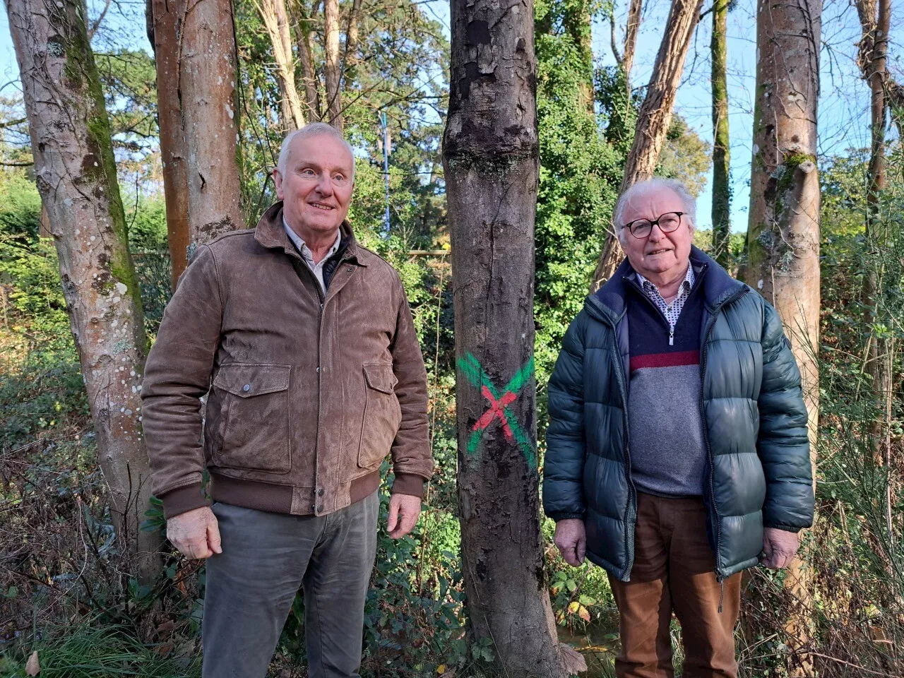 Vannes : fermeture d’un parc pour l’abattage d’arbres malades et fragilisés par les tempêtes