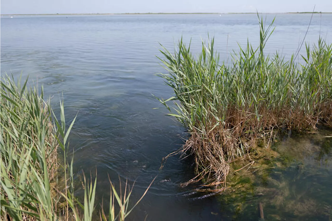 Il delta del Po al raduno di Greenpeace su giustizia climatica