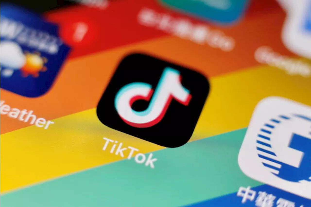 TikTok, 'in Europa ci sono oltre 175 milioni di utenti mensili'