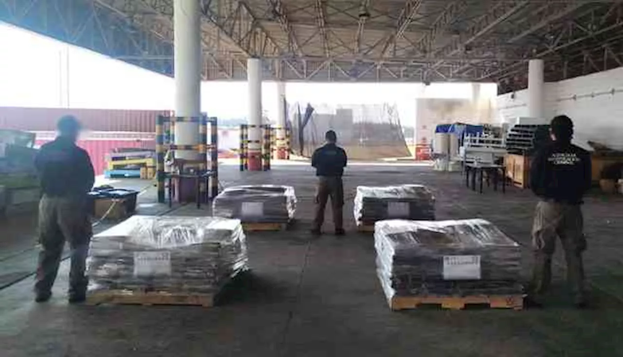 Hallaron más de 700 kilos de mariguana en Aduana del puerto de Veracruz