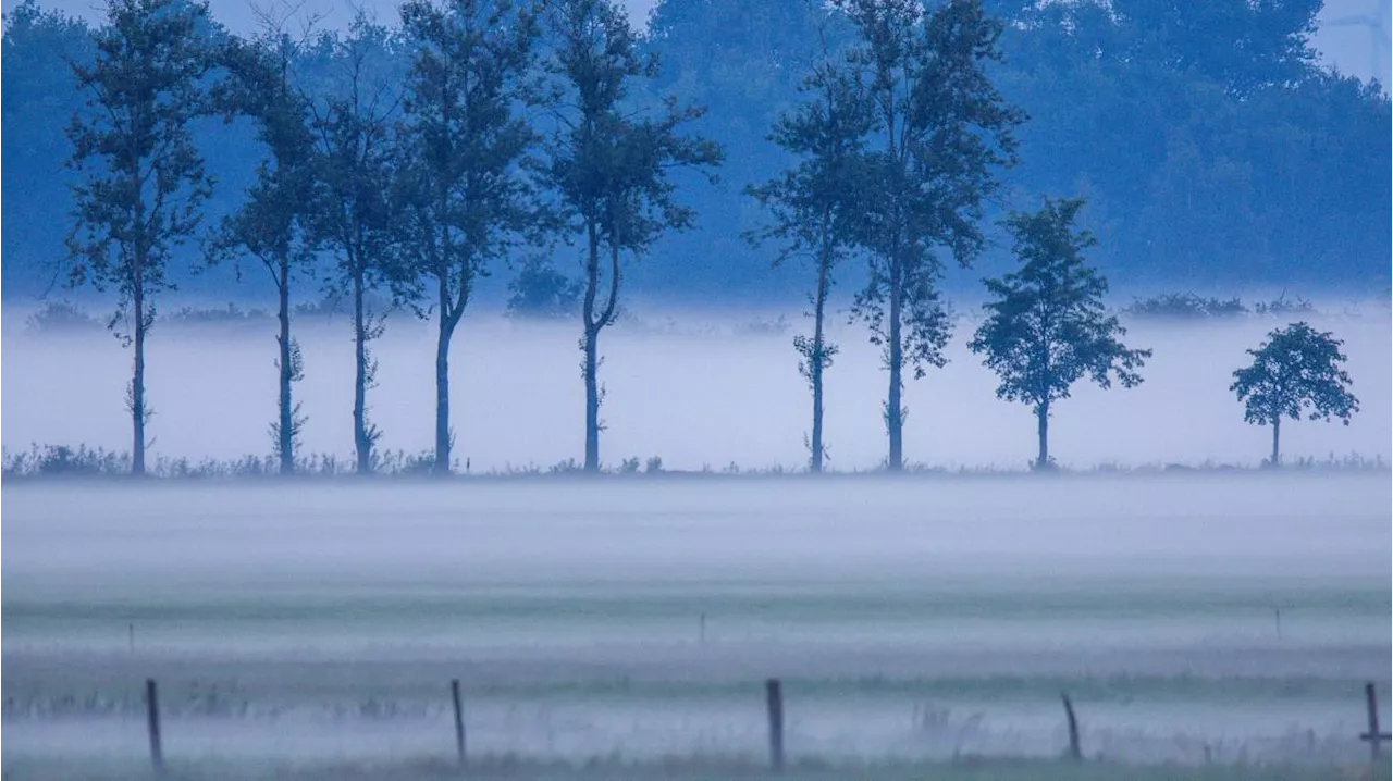 Bayern-Wetter im Ticker: Nebel und Frost am Morgen, tagsüber Sonne