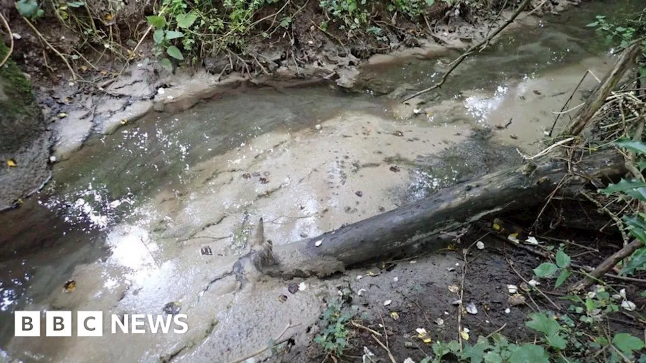 Severn Trent pays £600,000 after human waste found in brook