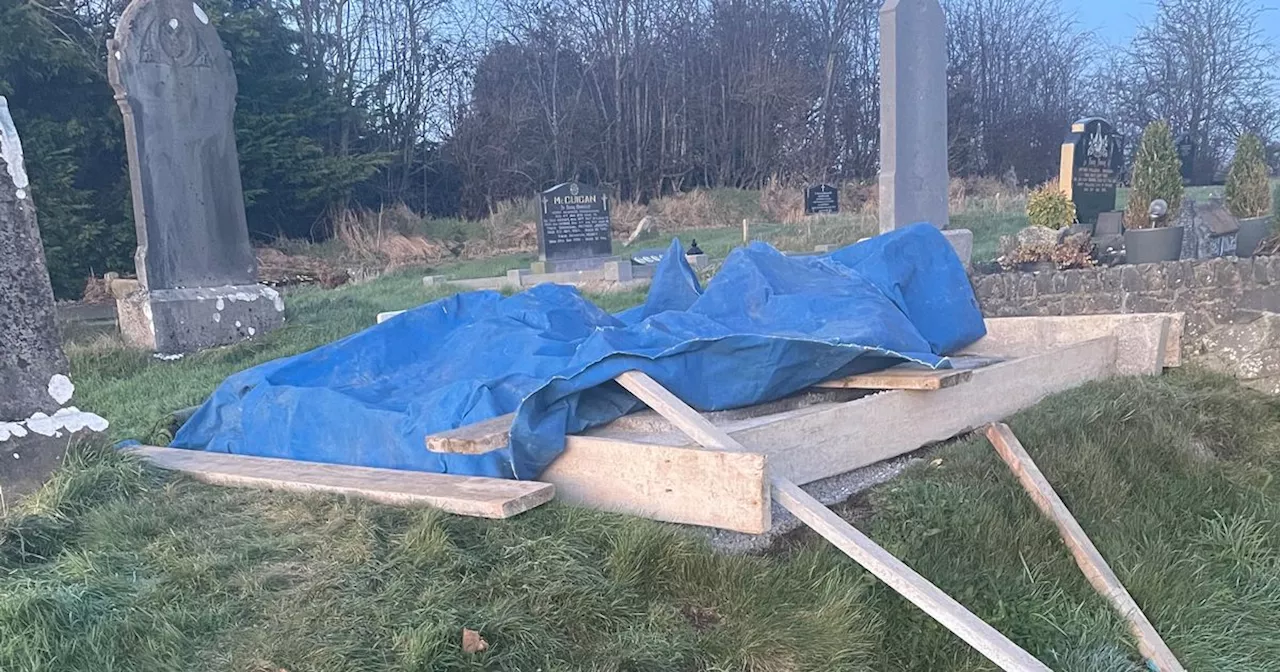 Remains to be examined after exhumation in search for Joe Lynskey