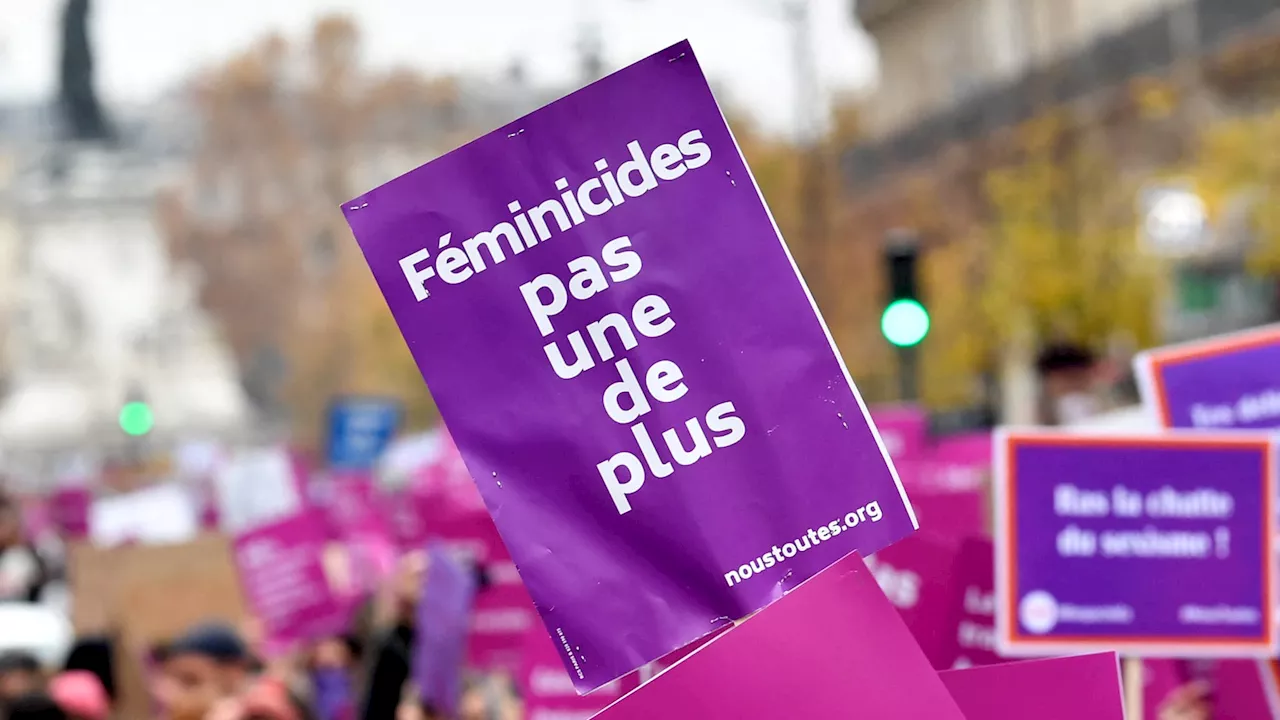 Des mobilisations dans les Alpes du Sud pour la journée contre les violences faites aux femmes