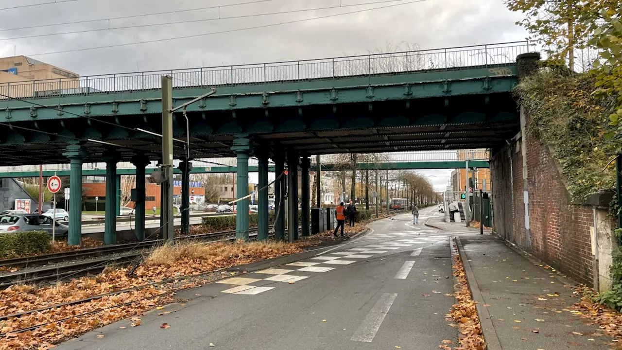 Métropole de Lille: le trafic des tramways a repris entre Gare Lille Flandres et Croisé Laroche