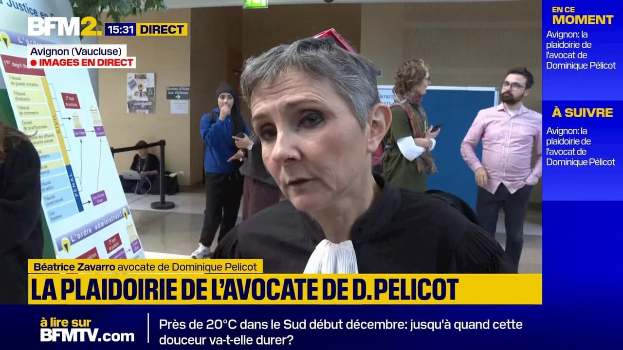 Procès des viols de Mazan: l'avocate de Dominique Pélicot revient sur sa plaidoirie