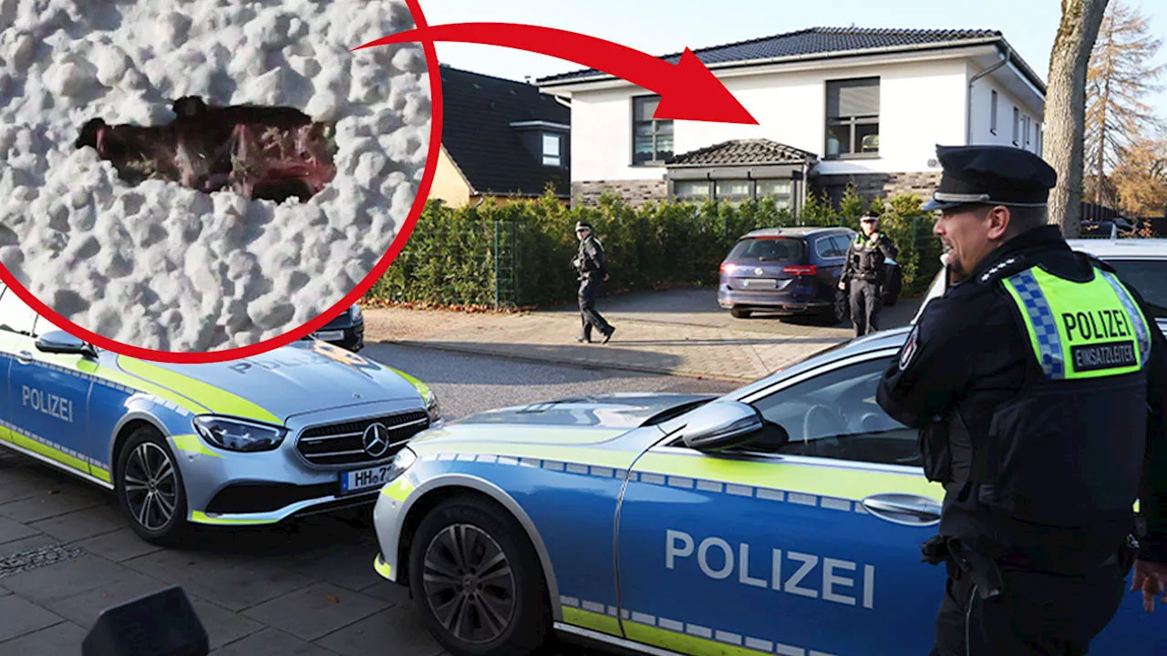 Polizei löst schnell Fall Wilder Westen in Lurup