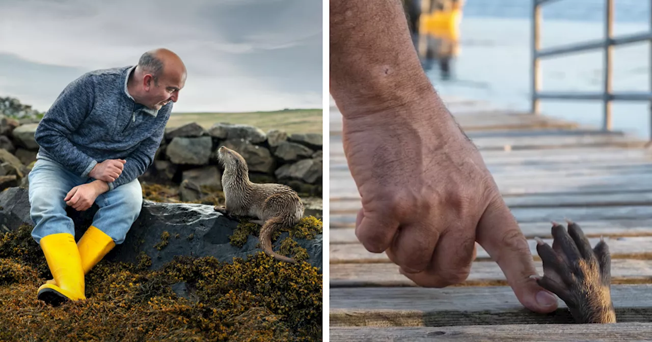 Man's Bond With Wild Orphaned Otter Becomes An Award-Winning Documentary