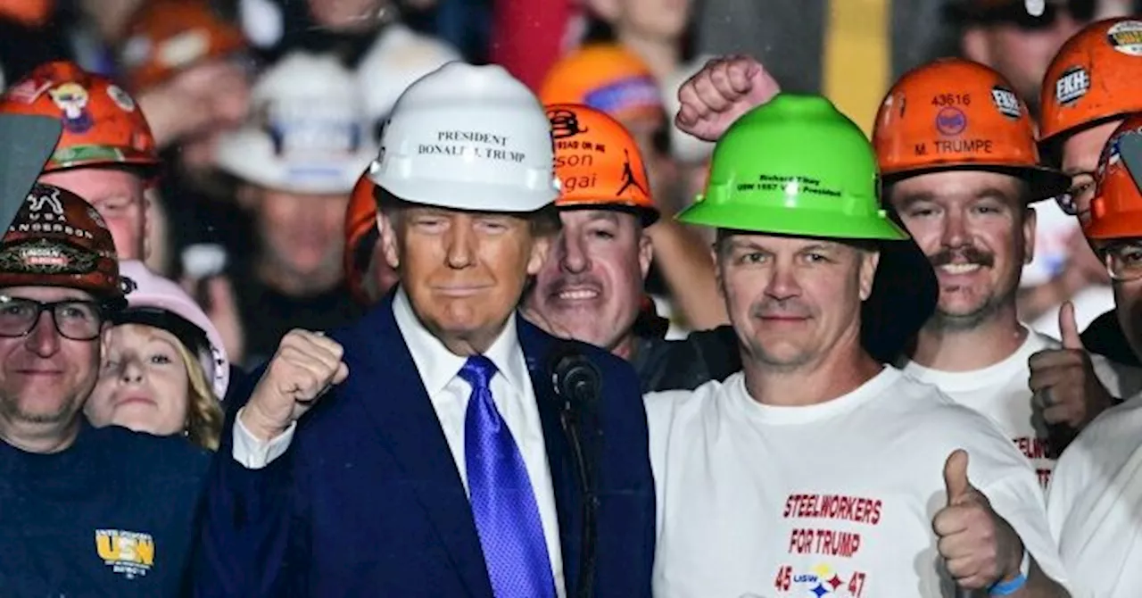 Construction Bosses Complain Trump Will Stop Them From Hiring Illegals