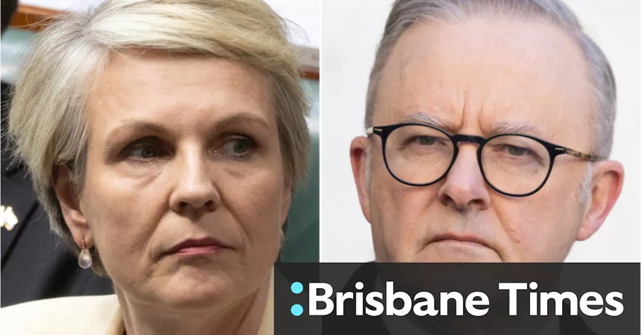 Albanese intervenes to scupper Plibersek’s negotiations with the Greens