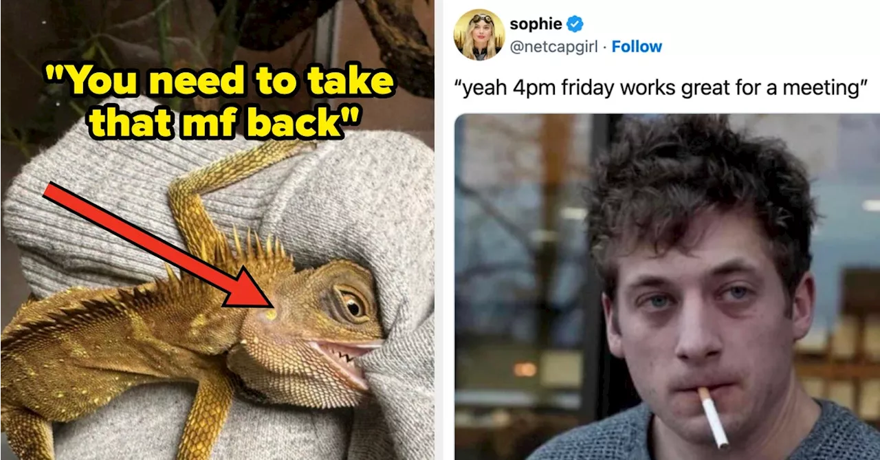 35 Funny Tweets From November