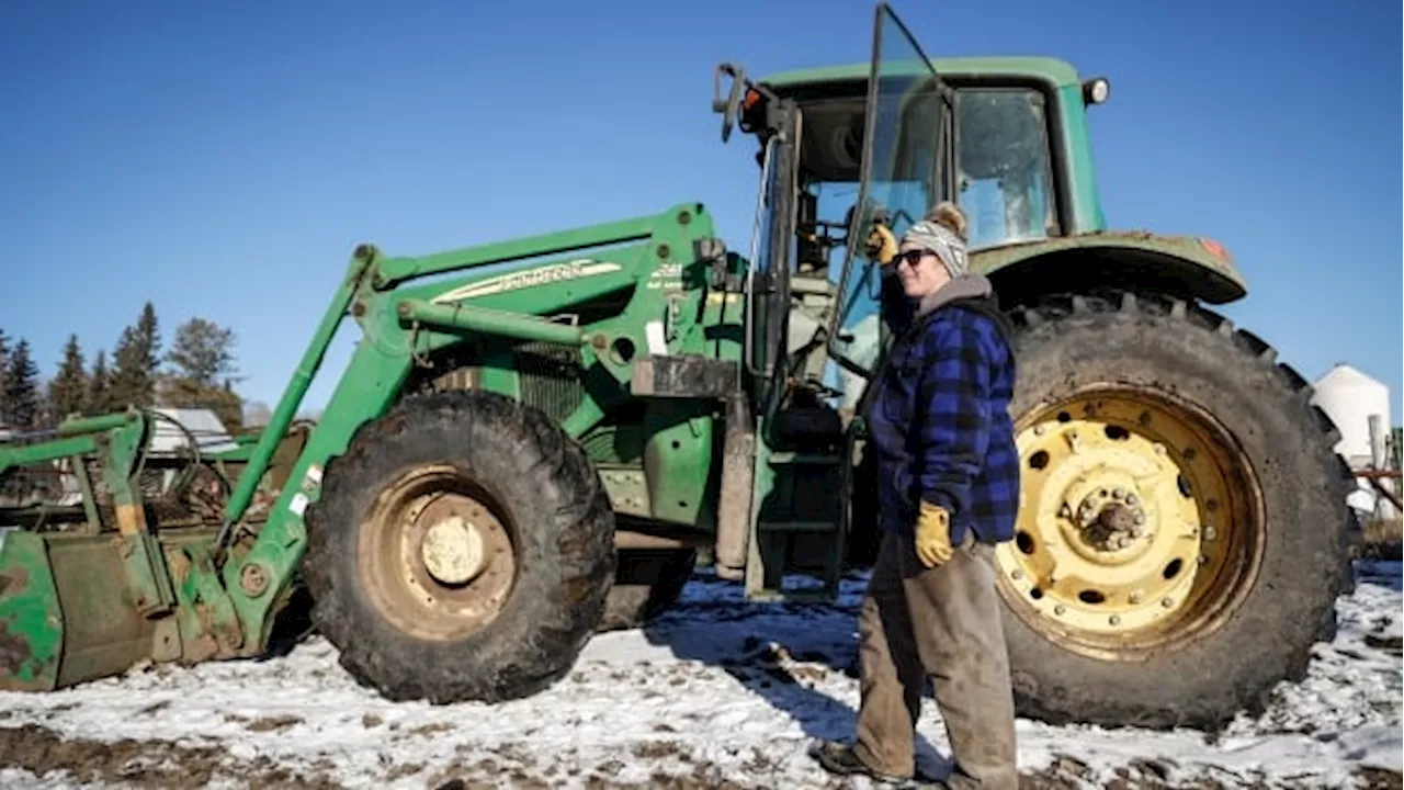 How Trump's threatened tariffs could impact Alberta's agriculture sector