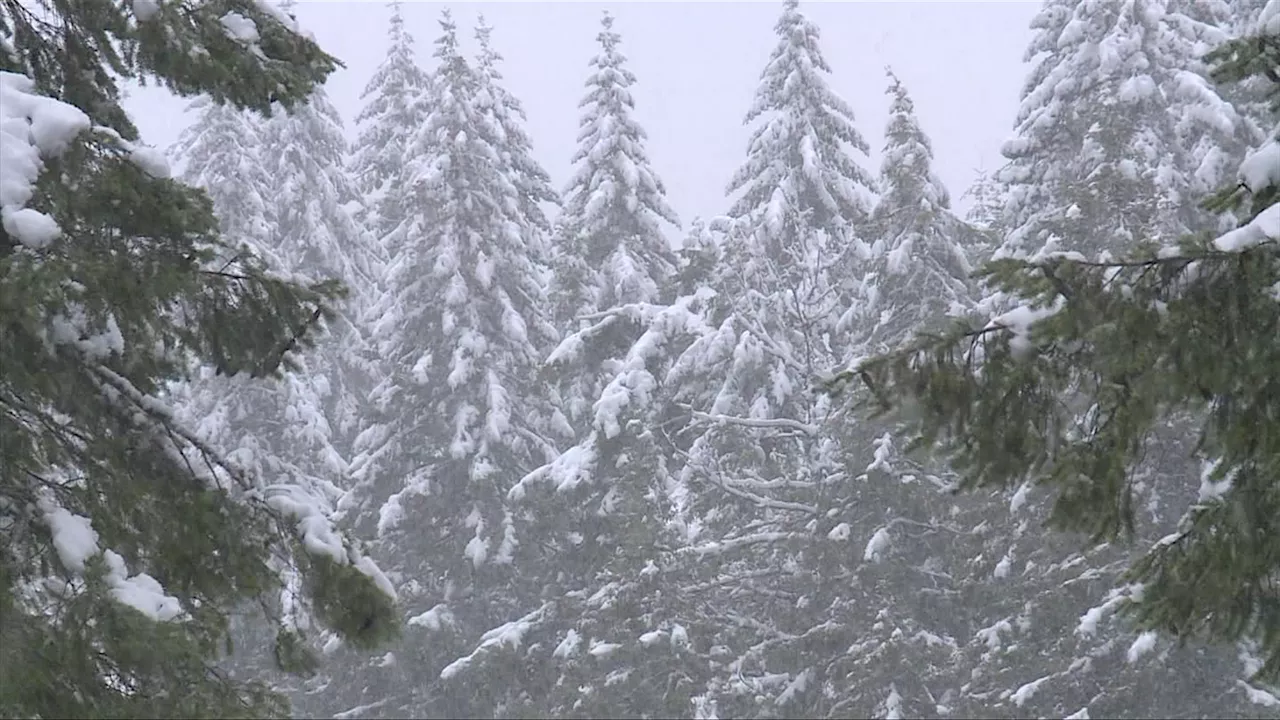 After record-breaking warmth, winter to ‘salvage its reputation’: Weather Network